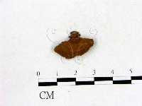 登錄號:F0009458藏品圖，第3張