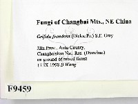 登錄號:F0009459藏品圖，第2張