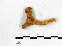 登錄號:F0009459藏品圖，第3張