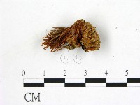 登錄號:F0009460藏品圖，第1張