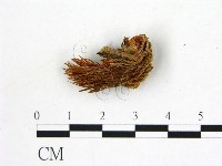 登錄號:F0009460藏品圖，第3張