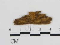 登錄號:F0009461藏品圖，第1張