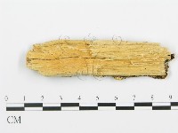 登錄號:F0009462藏品圖，第3張