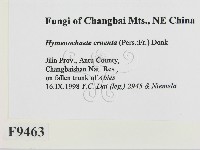 登錄號:F0009463藏品圖，第2張