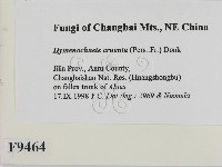 登錄號:F0009464藏品圖，第2張