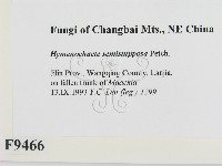 登錄號:F0009466藏品圖，第2張