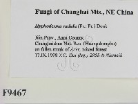 登錄號:F0009467藏品圖，第2張