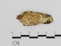 登錄號:F0009467藏品圖，第1張