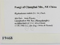 登錄號:F0009468藏品圖，第2張