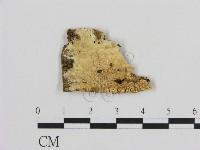 登錄號:F0009468藏品圖，第1張