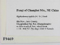 登錄號:F0009469藏品圖，第2張