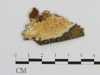 登錄號:F0009469藏品圖，第1張