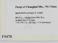 登錄號:F0009470藏品圖，第2張