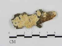 登錄號:F0009470藏品圖，第1張