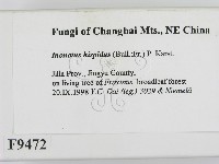 登錄號:F0009472藏品圖，第2張