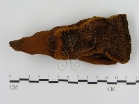 登錄號:F0009472藏品圖，第3張