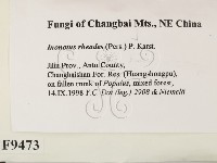 登錄號:F0009473藏品圖，第2張