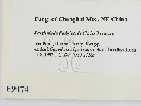 登錄號:F0009474藏品圖，第2張