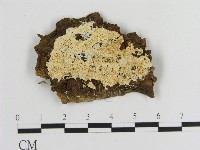 登錄號:F0009474藏品圖，第1張