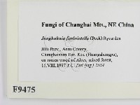 登錄號:F0009475藏品圖，第2張