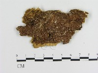 登錄號:F0009475藏品圖，第3張