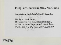 登錄號:F0009476藏品圖，第2張