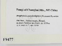 登錄號:F0009477藏品圖，第2張
