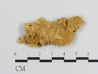 登錄號:F0009477藏品圖，第1張