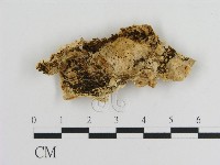 登錄號:F0009477藏品圖，第3張