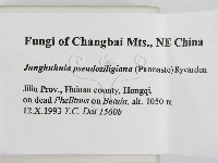 登錄號:F0009478藏品圖，第2張