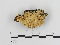 登錄號:F0009478藏品圖，第1張