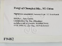 登錄號:F0009482藏品圖，第2張