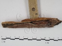 登錄號:F0009482藏品圖，第3張