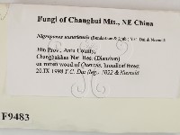 登錄號:F0009483藏品圖，第2張