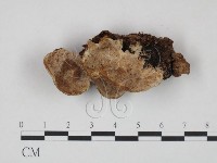 登錄號:F0009483藏品圖，第1張