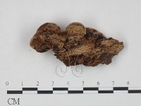 登錄號:F0009483藏品圖，第4張