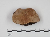 登錄號:F0009484藏品圖，第1張