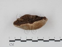 登錄號:F0009484藏品圖，第3張