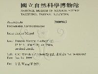 登錄號:F0009485藏品圖，第2張