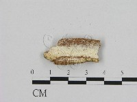 登錄號:F0009485藏品圖，第3張