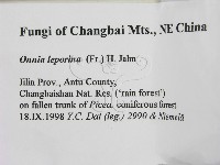 登錄號:F0009486藏品圖，第2張