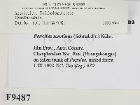 登錄號:F0009487藏品圖，第2張