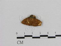 登錄號:F0009487藏品圖，第3張