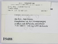 登錄號:F0009488藏品圖，第2張