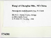 登錄號:F0009490藏品圖，第2張