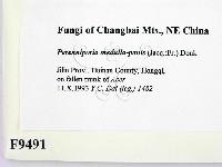 登錄號:F0009491藏品圖，第2張