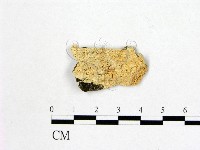 登錄號:F0009491藏品圖，第1張