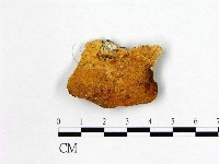 登錄號:F0009492藏品圖，第1張