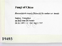 登錄號:F0009493藏品圖，第2張