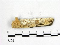登錄號:F0009493藏品圖，第1張